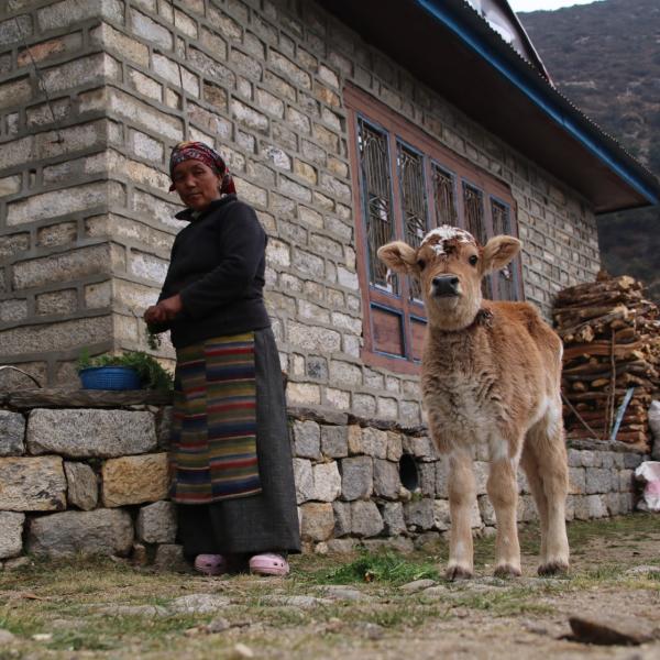 nepal-trekking-everest-base-camp