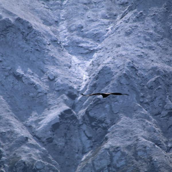 nepal-trekking-everest-base-camp